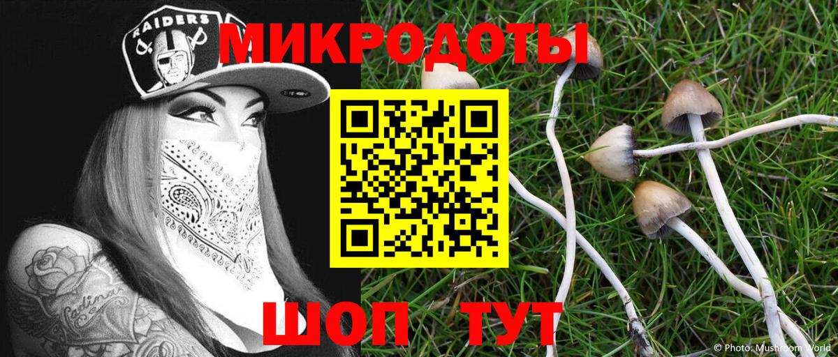 Вязники  Галлюциногенные грибы Magic Shrooms  Вход с VPN  Псилоцибиновые грибы Magic Shrooms 